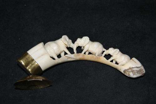 Signed Carved tusk