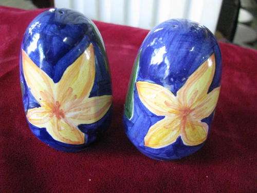 LOVELY BRIGHT AND BREEZY SALT AND PEPPER SET @CCRRRRAAAAZZZY R1 START