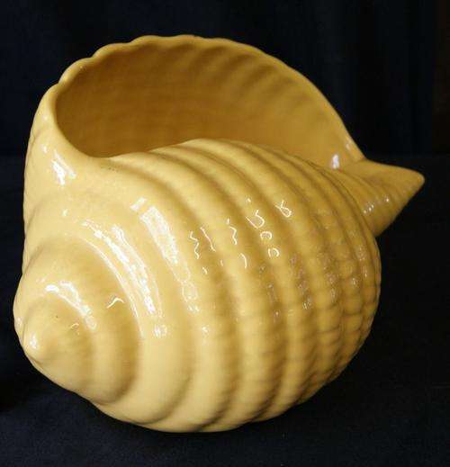 Vintage Ceramic Yellow Large Conch
