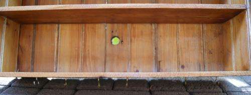 Oregon Wall Mounted Crockery Display and Cup Holder