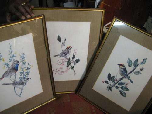 A SET OF 3 BIRD PRINTS BY A. MARLIN...BIDDING IS FOR THE SET
