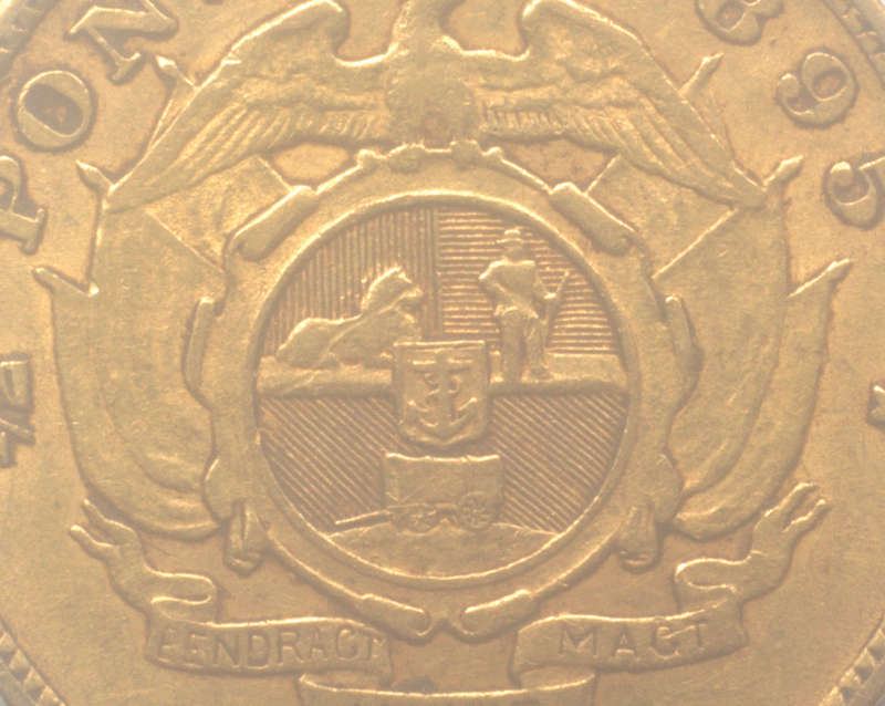 1895 ZAR Halfpond