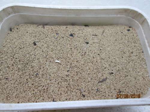 HO SCALE : SCENIC MATERIAL (FINE BROWN MATTER 325g) - LOT 816T