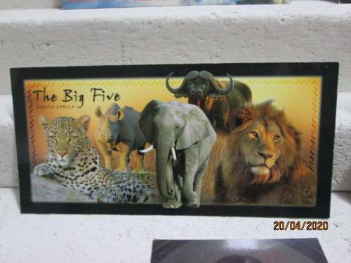 REDUCED TO CLEAR : SOUTH AFRICAN HISTORY : POSTCARDS x9 - LOT 420AA