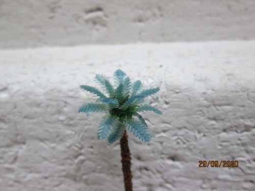 N SCALE : PALM TREES - X6