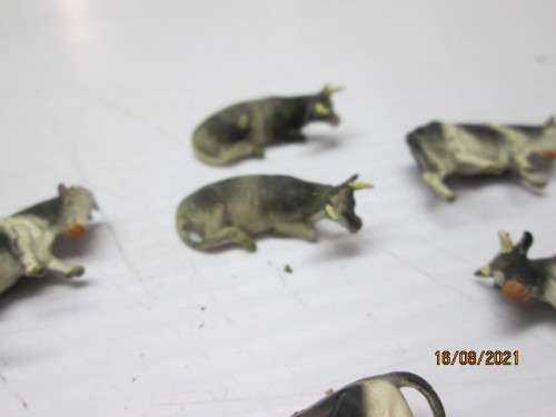 HO SCALE : COWS - X10