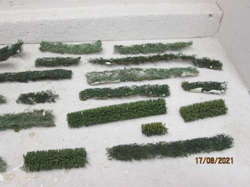 HO SCALE : GREEN HEDGING