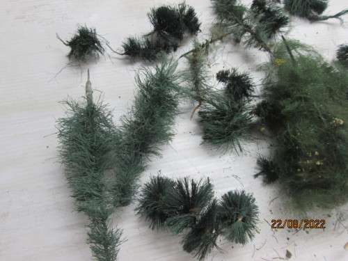 HO / OO SCALE :2 LITRE CONTAINER WITH ENTRY LEVEL TREES