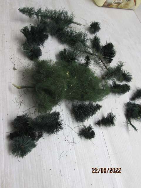 HO / OO SCALE :2 LITRE CONTAINER WITH ENTRY LEVEL TREES
