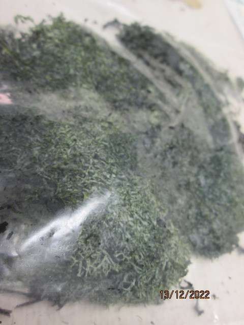 HO SCALE : SCENICS SA : X2 PACKETS OF FOLLIAGE MATERIAL