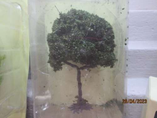 HO / OO SCALE : TREES X6 - BOXED