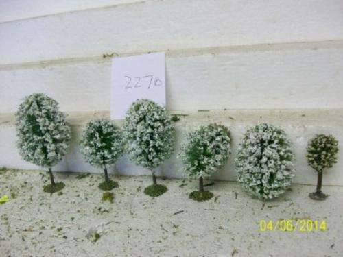 HO  TREES x6-  LOT 227 B