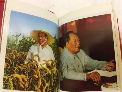 The Famous Mao's Little Red Book