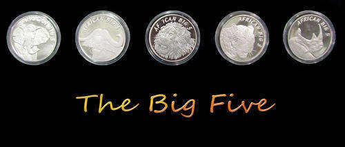2.5oz  African Big Five Set  99.9 Silver bullion Coins