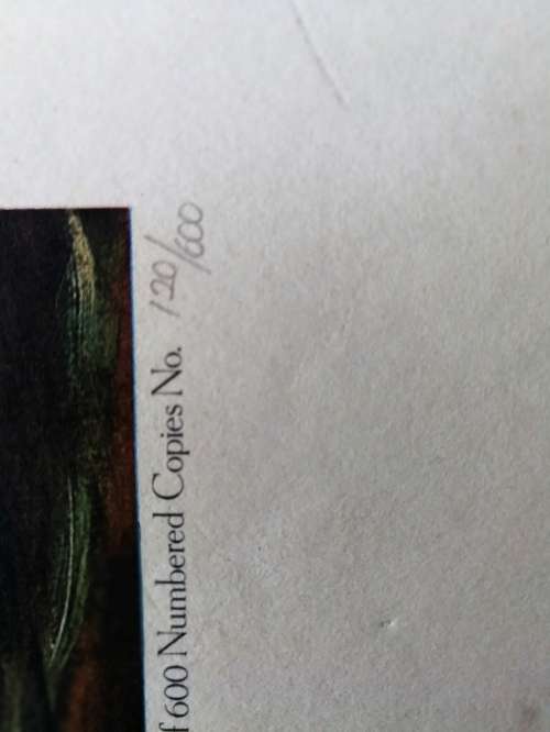 Thomas Baines  Limited Edition Print Very nice Buy Now !!!!
