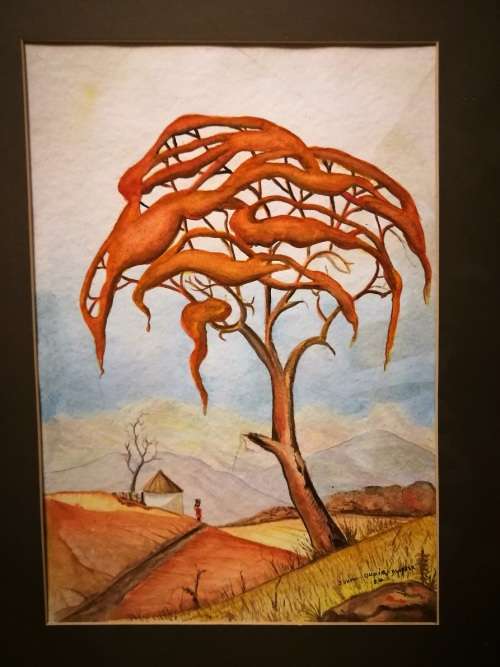 Trees Johan Oupie Klopper