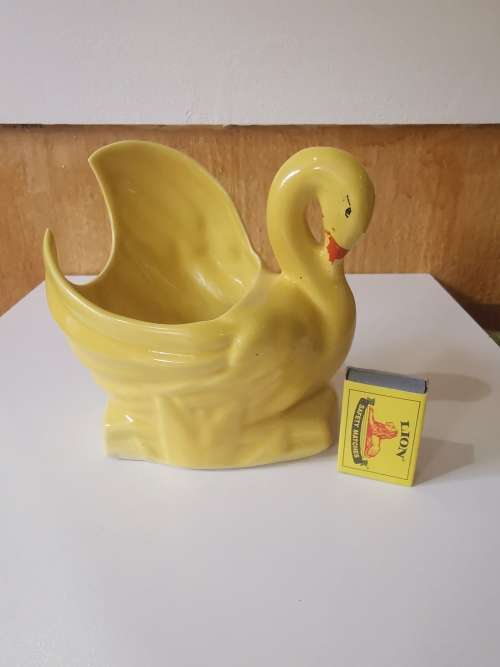 Drostdy Swan