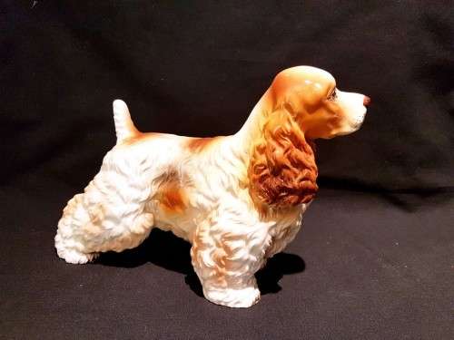 Cocker Spaniel - Large! - Low Price - Bid Now!!