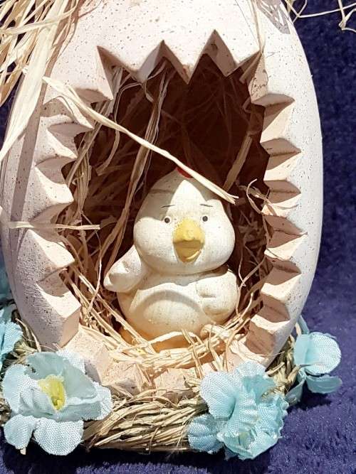 Chick hatching