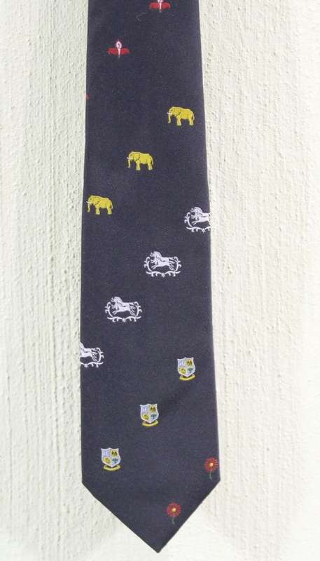 Cricket tie - Superb tie in original packaging - Low price, bid now!
