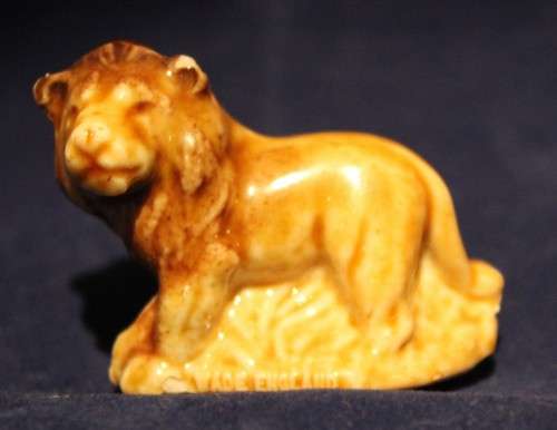 Wade lion