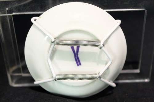 The three ships - miniature wall plate