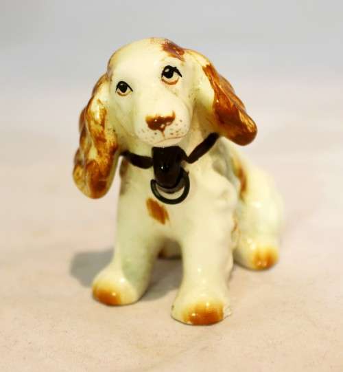 Cocker Spaniel puppy - Seated