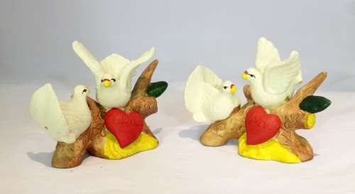 Pair of doves