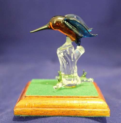 Humming bird on a tree stump