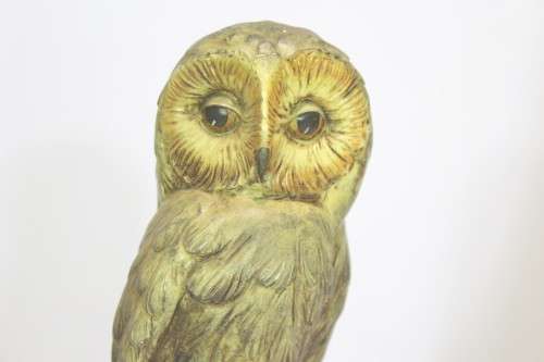 Como - Owl on a log - Molded figurine - Beautiful! -