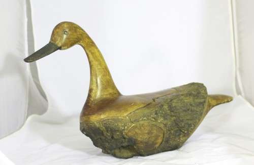 Driftwood duck