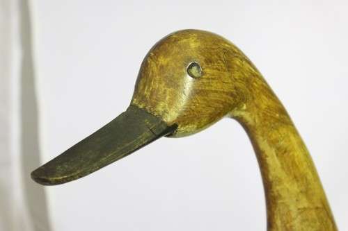 Driftwood duck