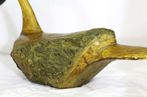 Driftwood duck