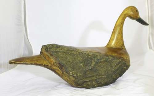 Driftwood duck