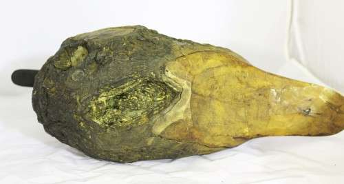 Driftwood duck