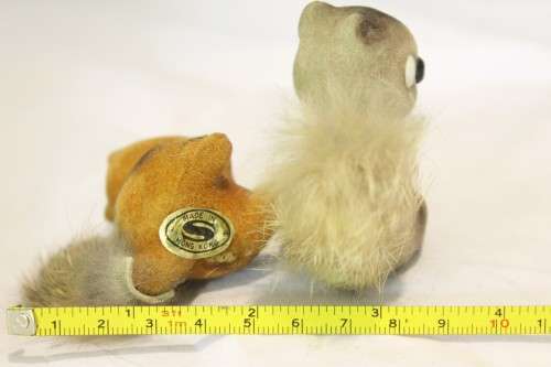Pair of fluffy squirrels - Hong Kong - Beautiful! - Low price!! - Bid Now!!