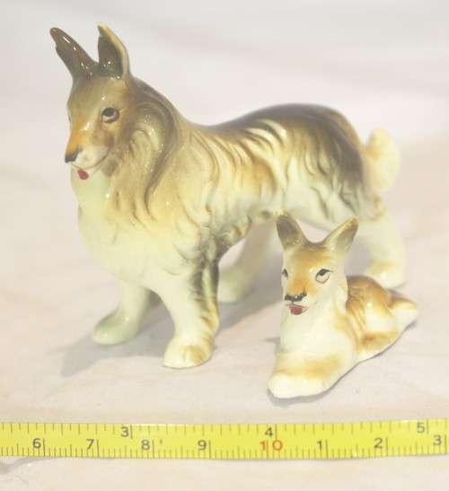 Collie and puppy