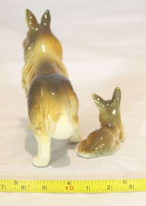 Collie and puppy
