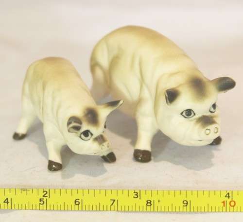 Bone China - pair of angry pigs