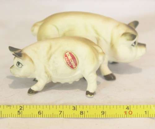 Bone China - pair of angry pigs