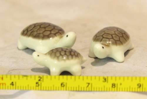 Trio of miniature tortoises - Beautiful! - Low price!! - Bid Now!!