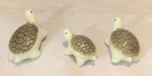 Trio of miniature tortoises - Beautiful! - Low price!! - Bid Now!!
