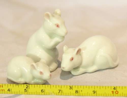 The mouse family