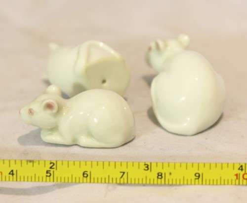 The mouse family