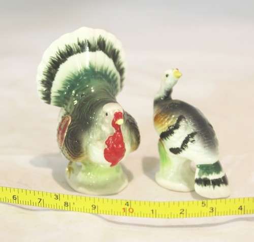 Pair of turkeys