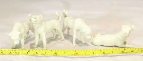 Four white dogs - Beautiful! - Giveaway price!! - Bid Now!!