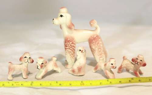 Pink Poodle with puppies - Beautiful!! - Giveaway price!! - Bid Now!!