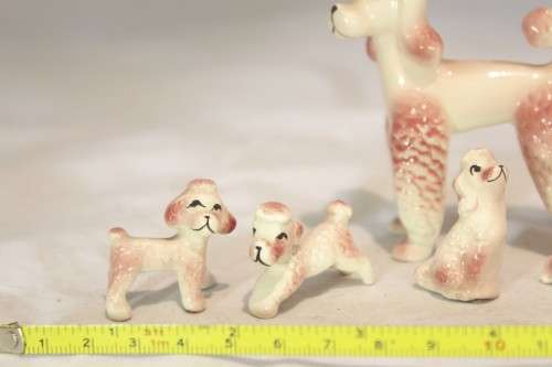 Pink Poodle with puppies - Beautiful!! - Giveaway price!! - Bid Now!!