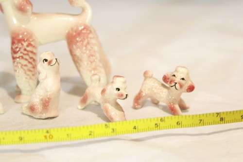 Pink Poodle with puppies - Beautiful!! - Giveaway price!! - Bid Now!!