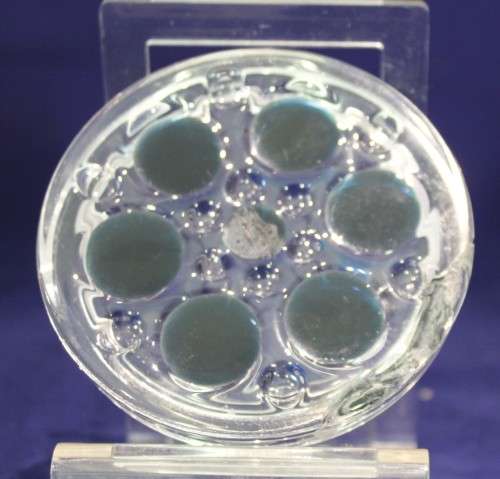 Glass paperweight with large black dots - Lovely! - Bid Now!!!